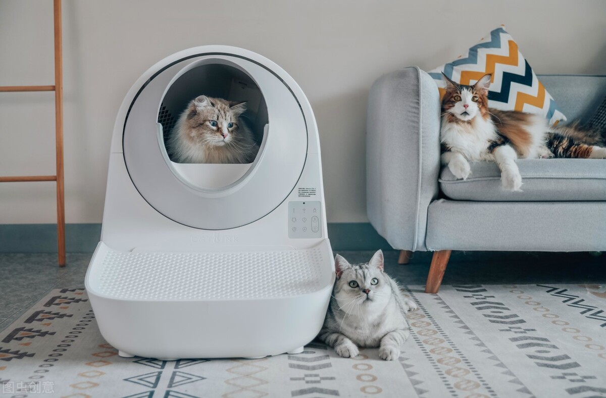 养猫经验分享新猫到家,养猫攻略新手养猫注意事项