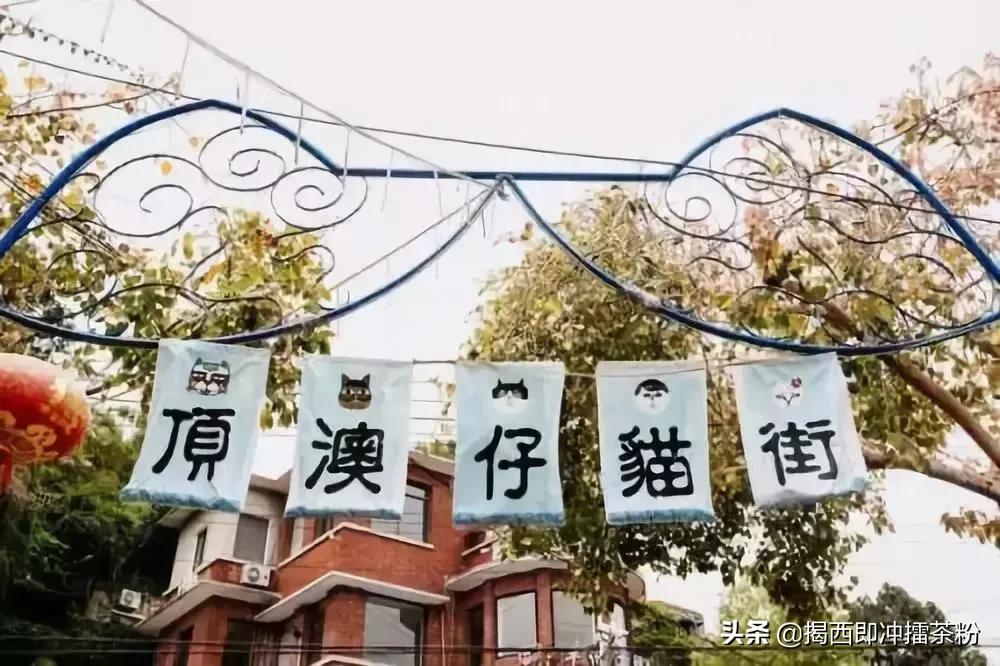 广州周边游好去处！小清新、古朴风、文艺范