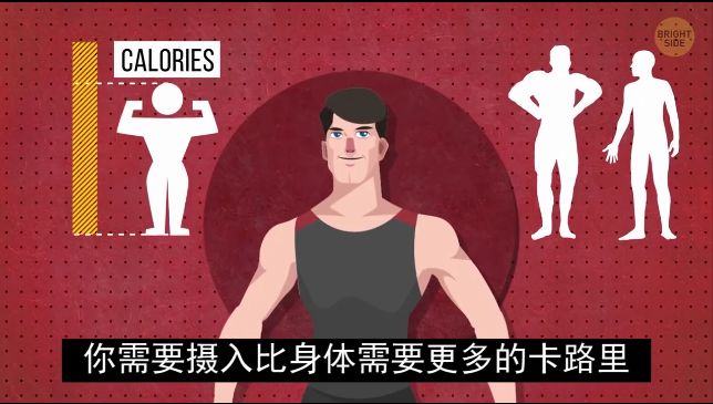 怎么练手臂的肱三头,怎么才能练出手臂的肱三头肌