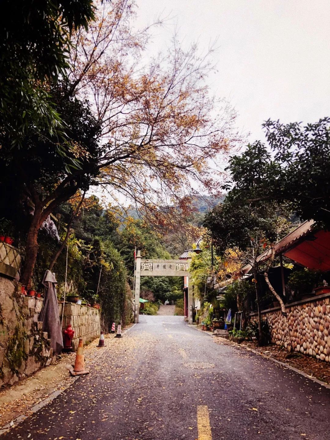 推荐冬天买的毛衣,秋冬平价毛衣推荐