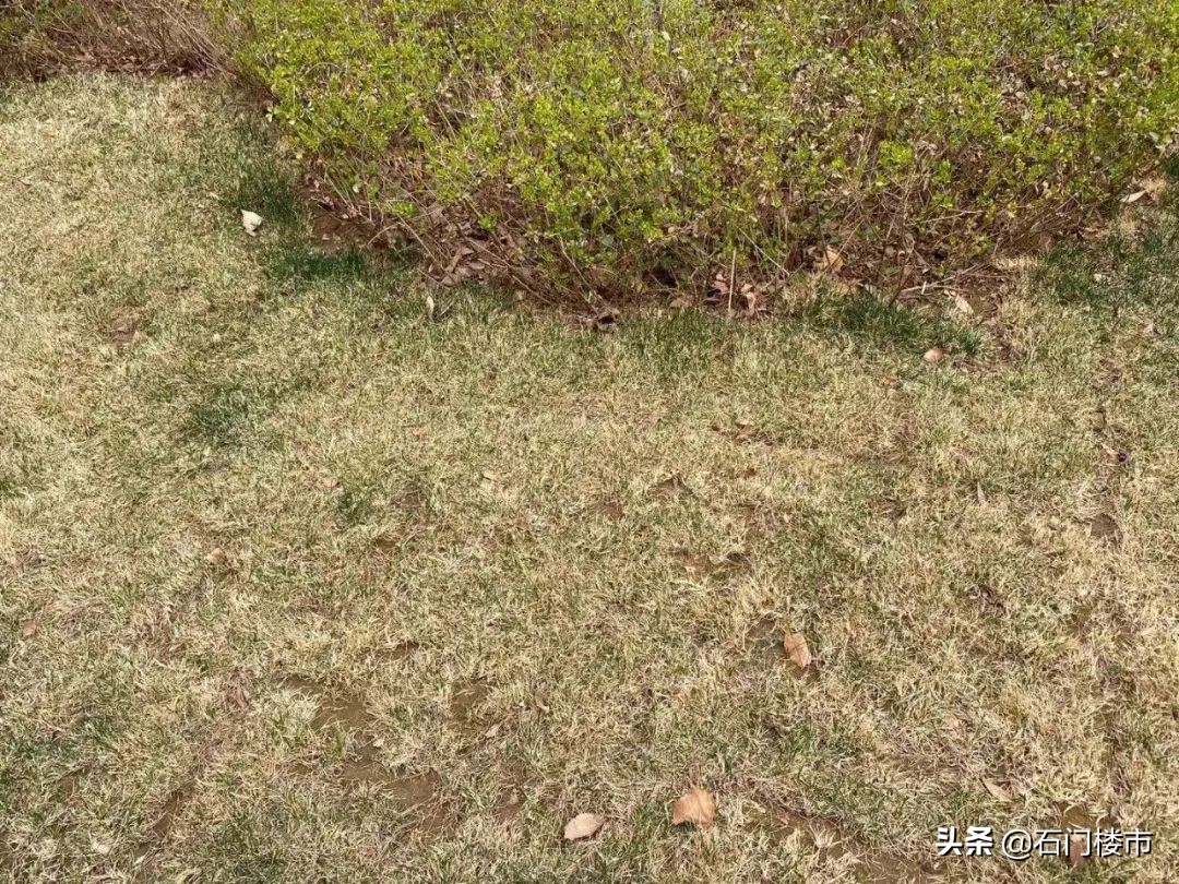 实探|一环那个名字霸气、房价贼贵的小区真的快卖完了