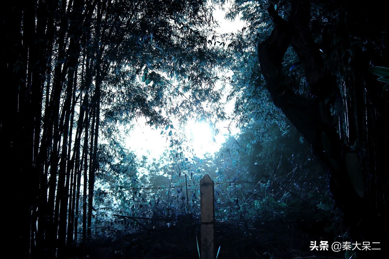 短篇鬼故事小说民间,短篇鬼故事哪个软件好