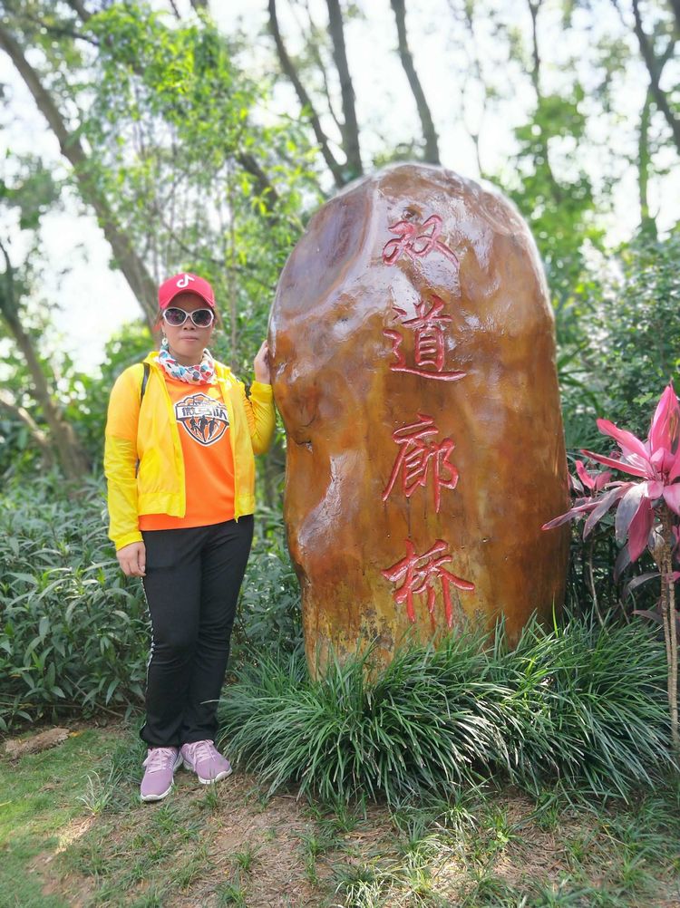 520,别样塘朗山!六约微马2019我们一起走第十二站塘朗山