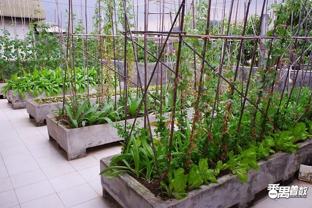 在番禺住哪里比较好,在番禺居住怎么样