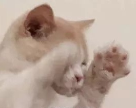 99年qq个性签名,值得长期不换的qq个性签名霸气