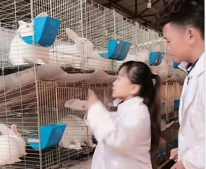 袖珍三公主经历坎坷，曾一起整容“变脸”，如今都收获幸福爱情