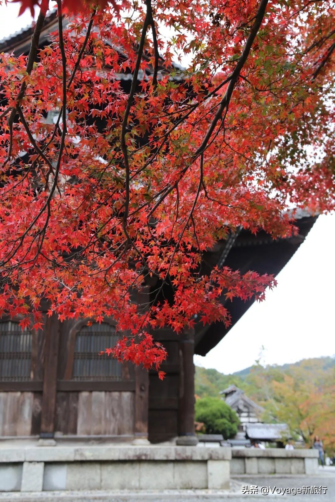 如果一生只能去一次北海道,如果一生只能去一次甘南