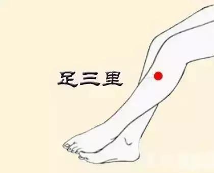 毒五月吃什么好,毒五月吃什么