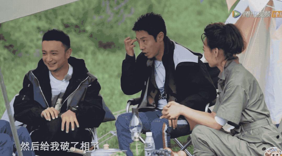 没想到,央视的名嘴们全都是猫奴