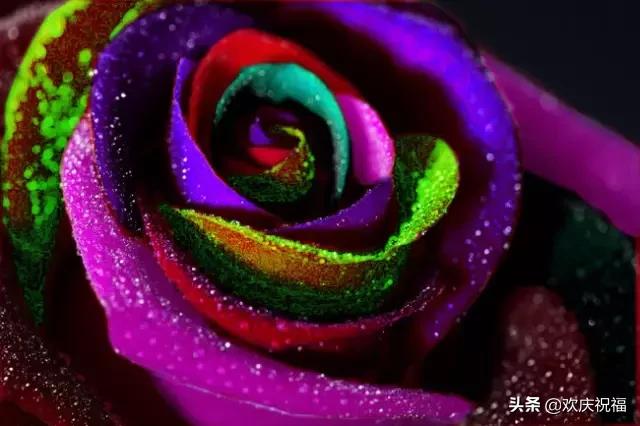 明日七夕，777幸福花送给群里所有的朋友，谁打开，谁幸福