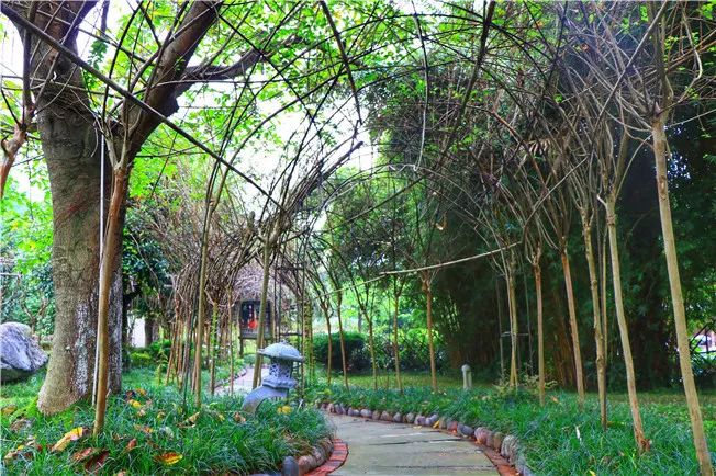 雅安楠水阁温泉游玩,雅安楠水阁酒店和梦温泉哪个好