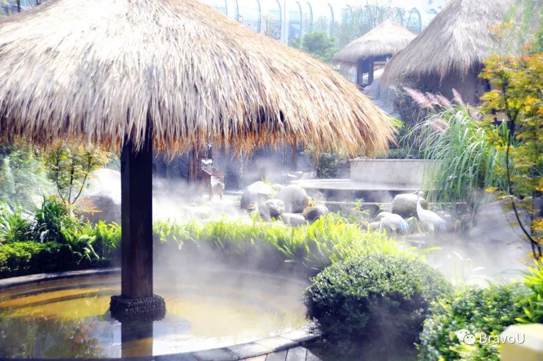 【慢游新天府，感受新成都】端午节特辑（二）|世界冠军蒋文文、蒋婷婷带你去逛川西林盘和特色小镇打卡地