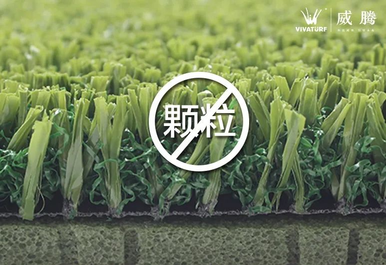 免填充人造草坪的前景,人造草坪威腾