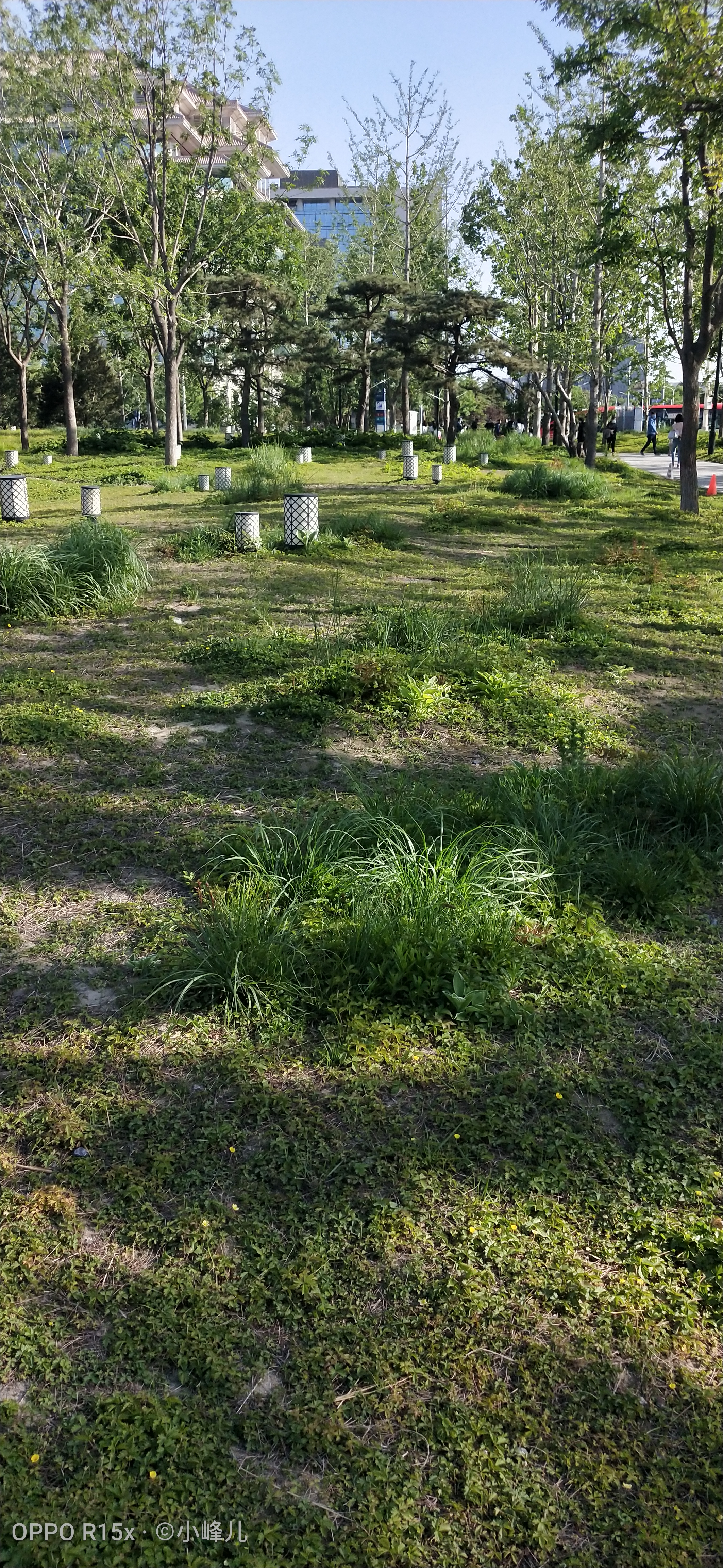 西单更新街有什么,西单更新场和大悦城