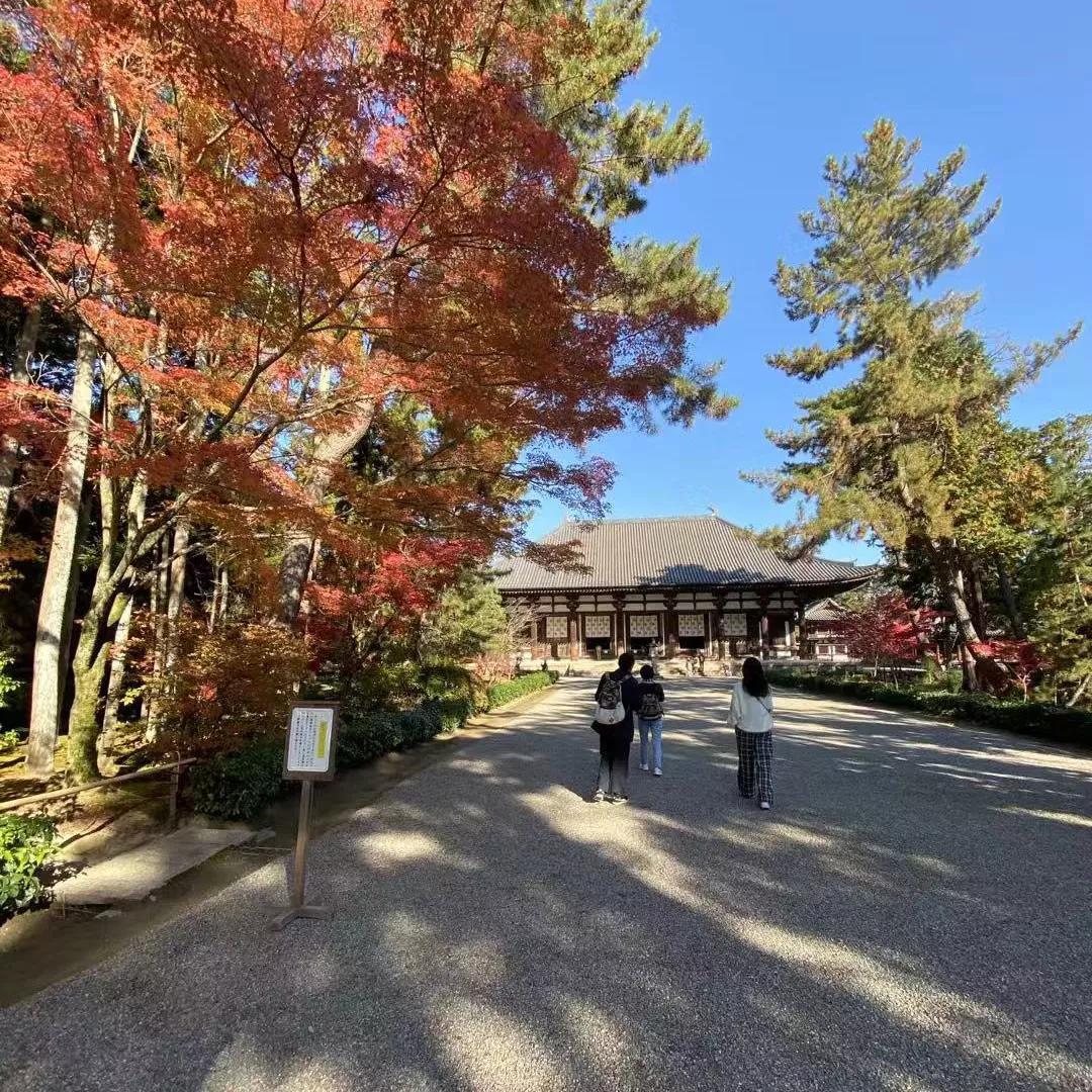 东渡日本的高僧图片,唐朝东渡日本的高僧