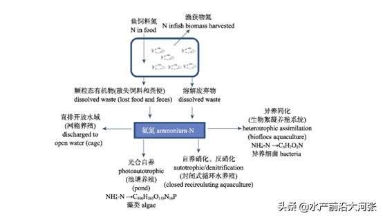 氨中毒安全措施方案,氨中毒用什么抢救