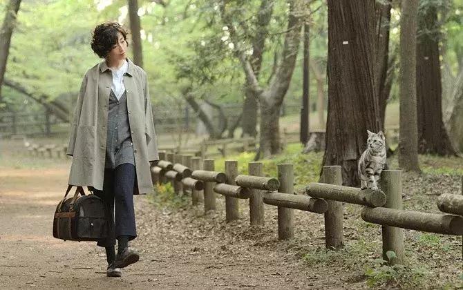 为什么说养猫对孩子有益,为什么有的人养猫养鸟容易养的好