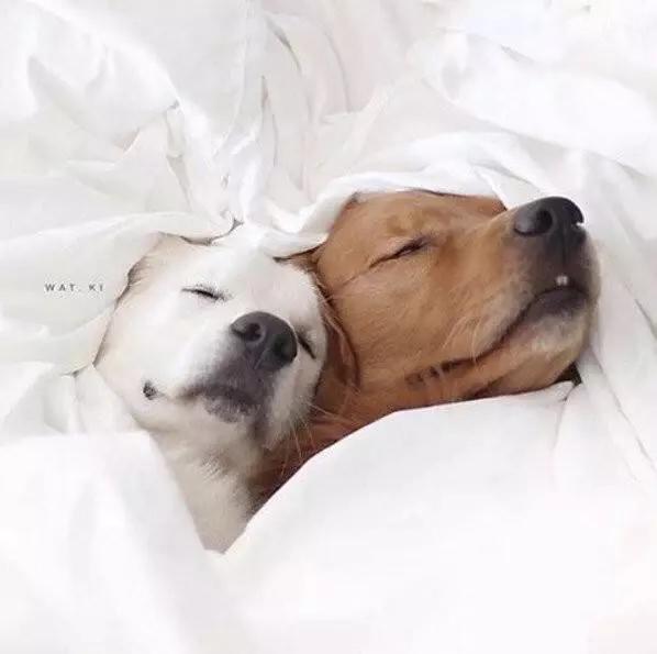 层次感超强的妆面,一把刷子搞定眼妆