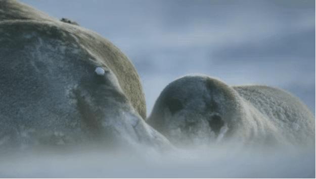 疫情在家陪娃学习新技能,在家隔离教你怎么训练孩子