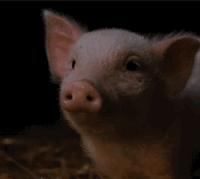 2023打工人最扎心的数据,扎心月薪1万与月薪10万的真实差距