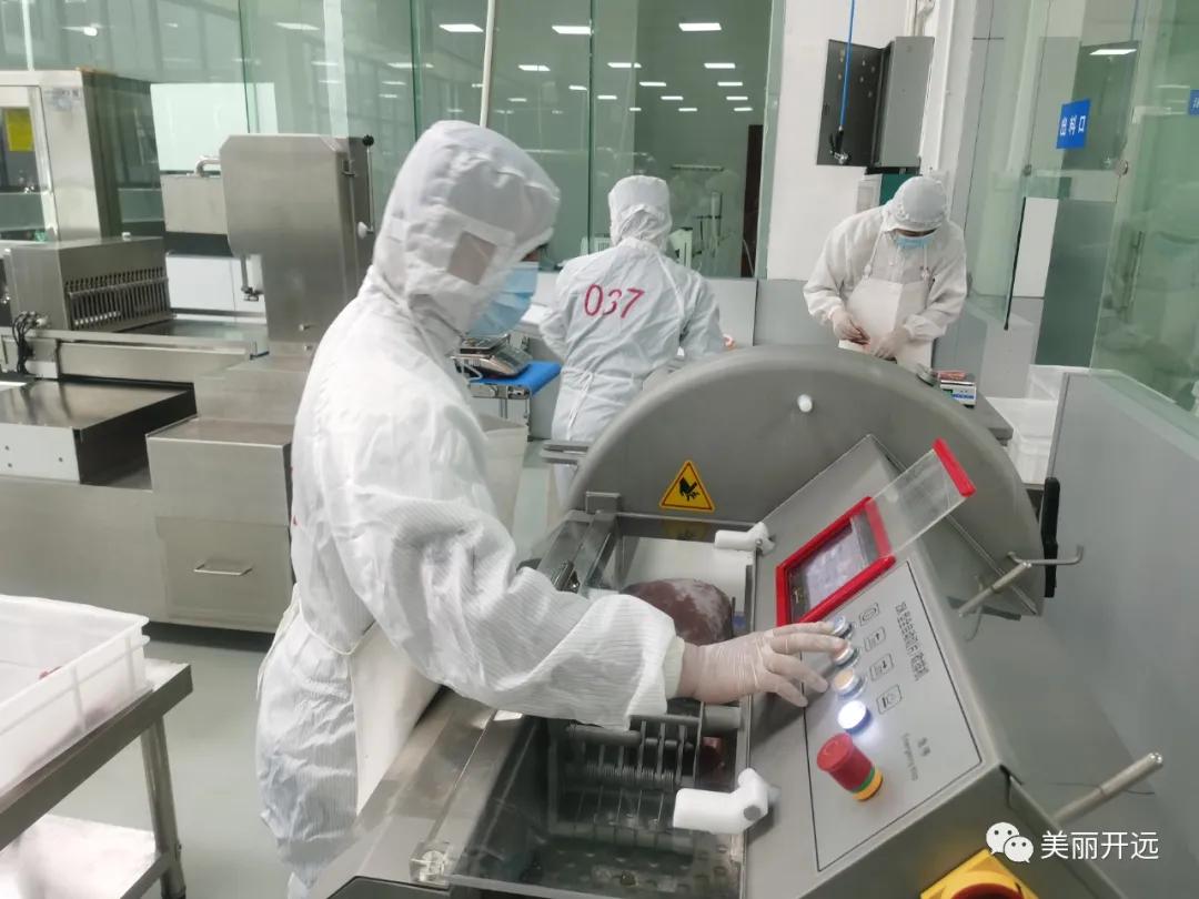 开远金凤凰,开远凤凰腾飞