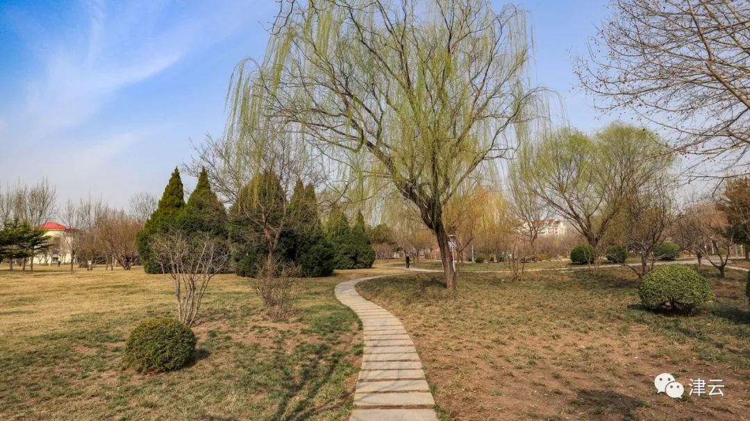 天津2022哪些公园恢复开放,天津2022年四月开放的公园