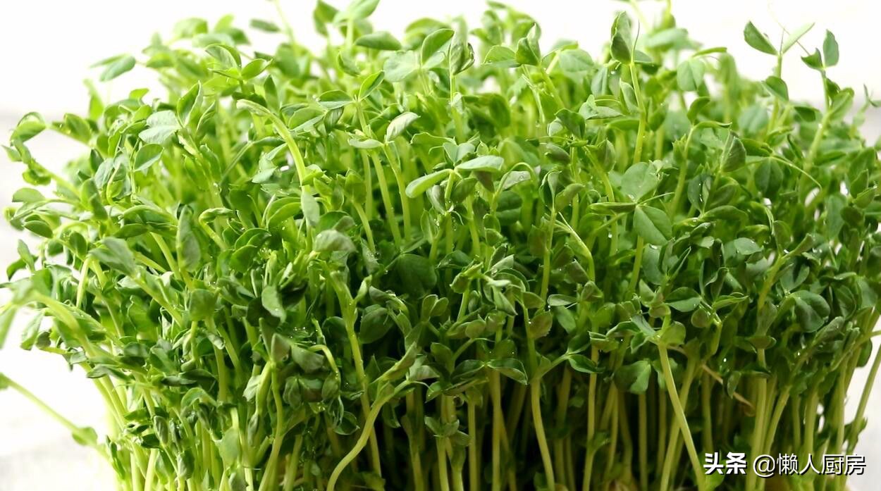 豌豆苗怎么样炒好吃,豌豆苗怎么炒出来最好吃