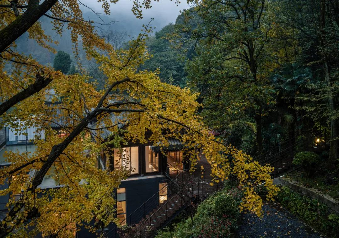 成都出发1.5h，藏在青城后山网红轻奢度假民宿，丨桐去隐泉