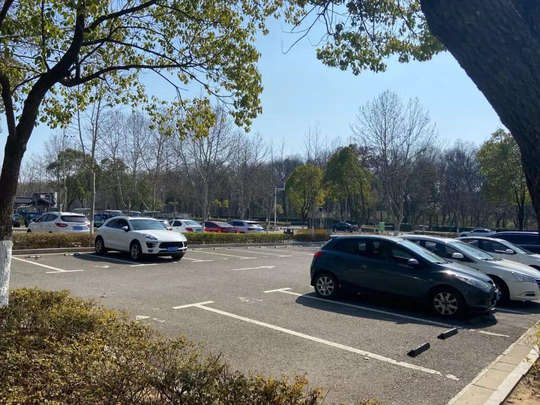 南京复工复产,硬核复工碧桂园