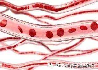 自体血液治疗,自己的血可以治病吗