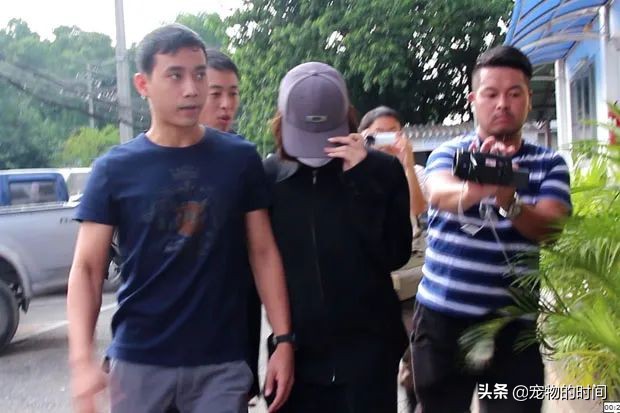 水獭宠物容易养吗视频,水獭宝宝可以当宠物吗