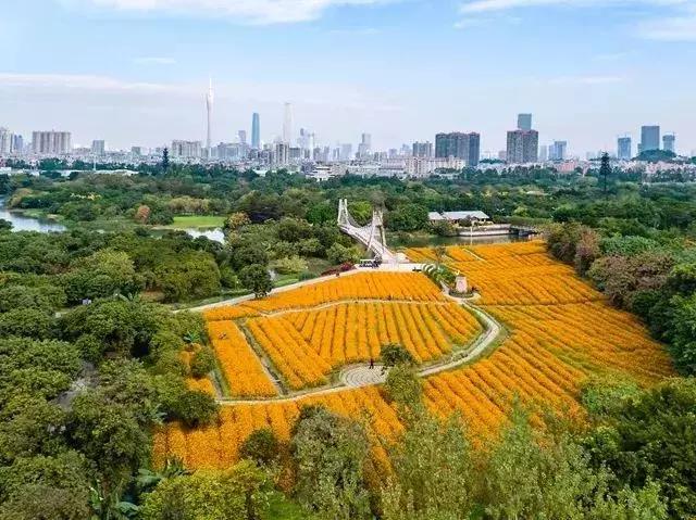 春节游玩攻略正式上线,春节嗨玩攻略