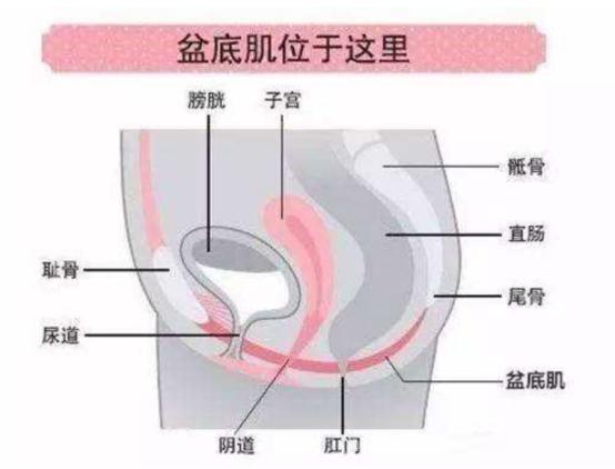妈妈伟大简短视频,妈妈伟大完整版