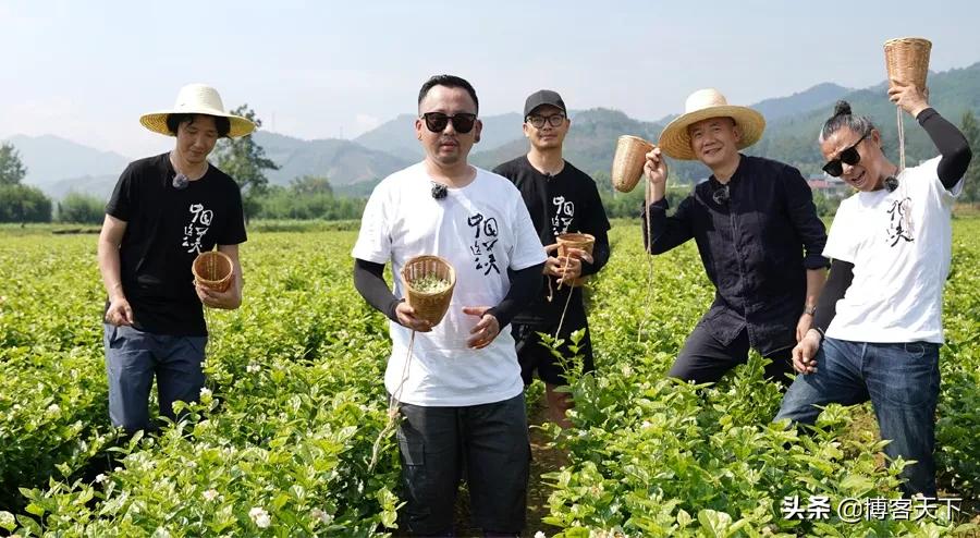 一定要好好生活句子,一定要好好的生活