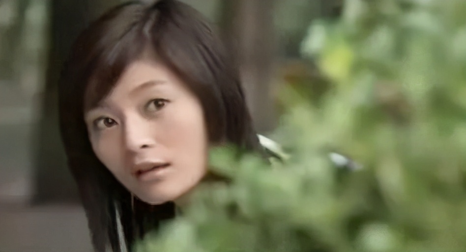 延禧纯妃王媛可照片,纯妃如懿传王媛可