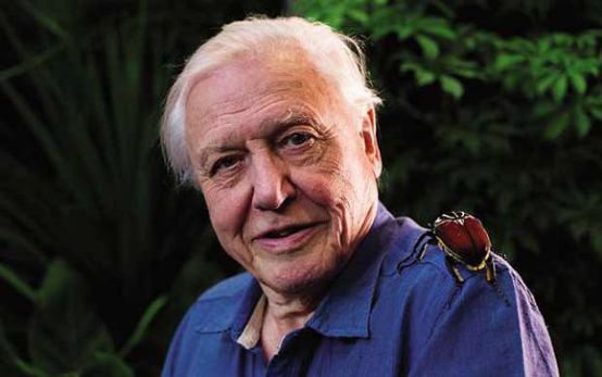 大卫爱登堡为地球发声的纪录片,大卫爱登堡纪录片七个星球