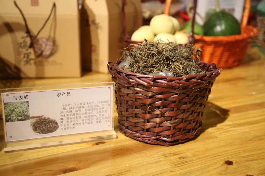 涟水这个馆的线上线下同步启动仪式火啦