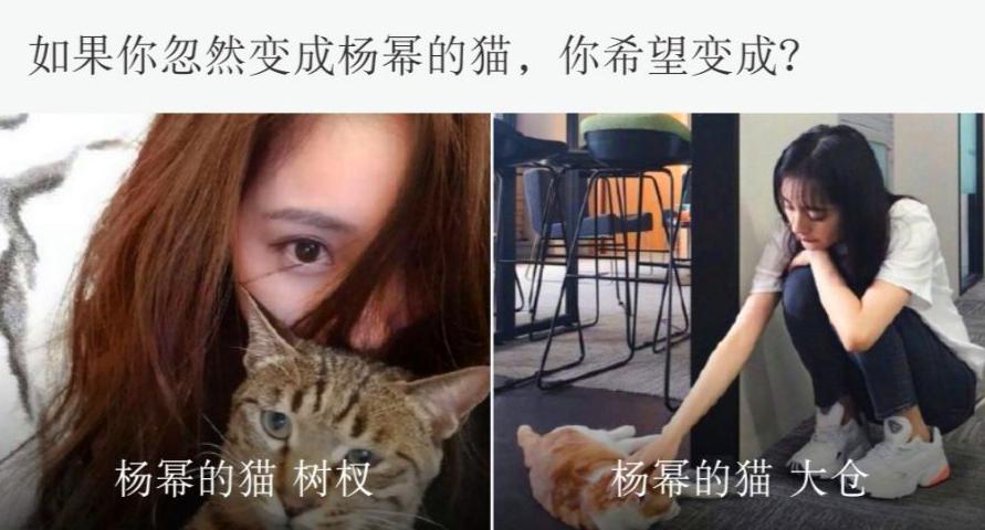 鏉ㄥ箓涓夌敓涓変笘鐚挭,鏉ㄥ箓涓夌敓涓変笘鎹＄尗