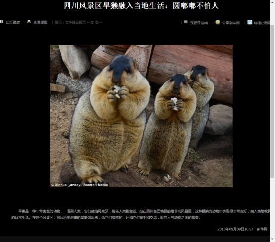 我不是大眼萌我是鼠疫最大移动储存库