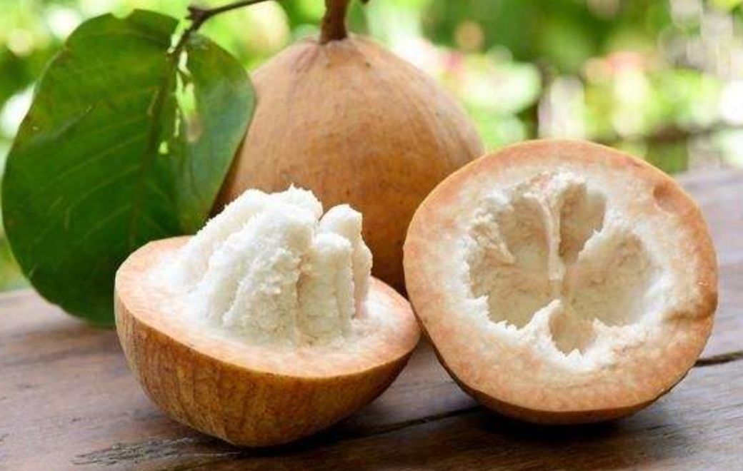 真的是活久见!长成这样居然能吃?