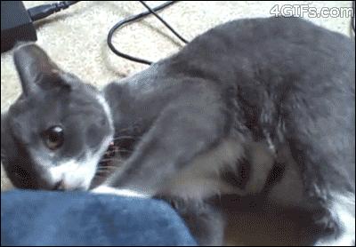 媳妇说丢就丢,媳妇说丢了怎么回