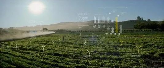 智慧林业物联网,智能智慧林业