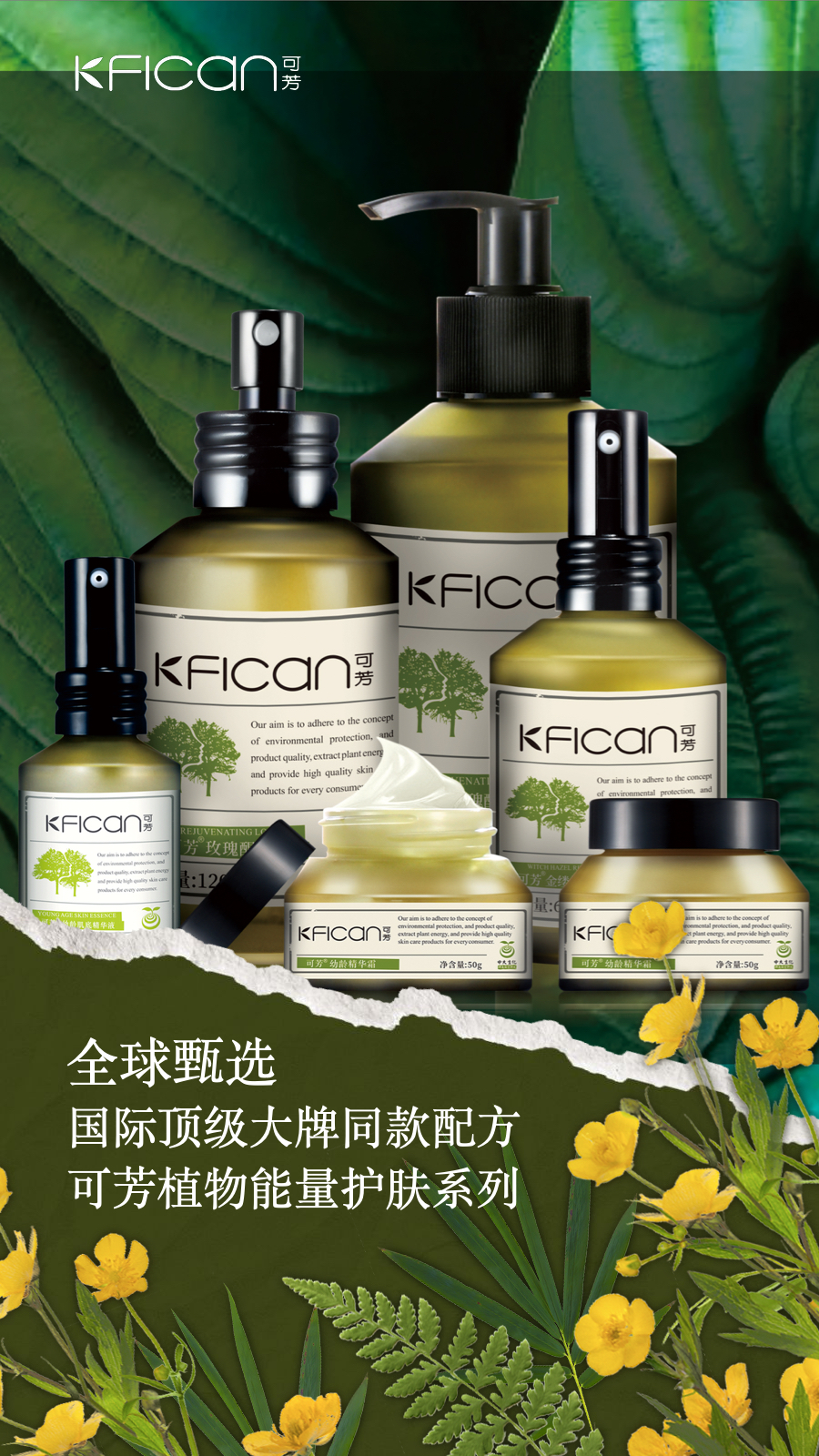 植物的能量和疗愈,植物的灵性和疗愈的力量