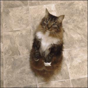 喝醉后怎么带女朋友回去,女朋友喝醉了回家