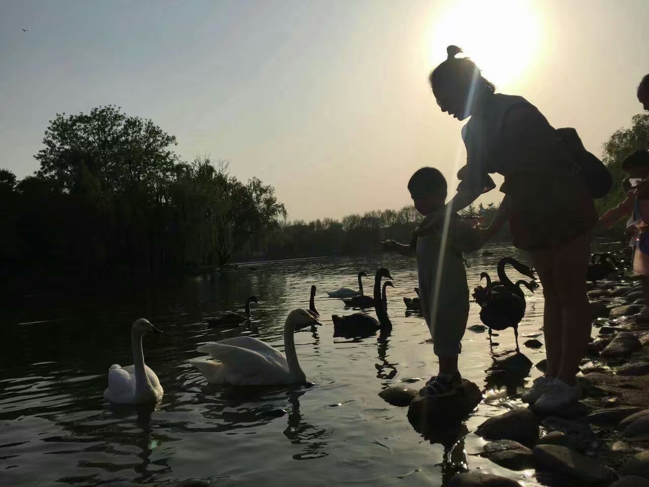 云南野生动物园免票吗,云南野生动物园有什么好玩的