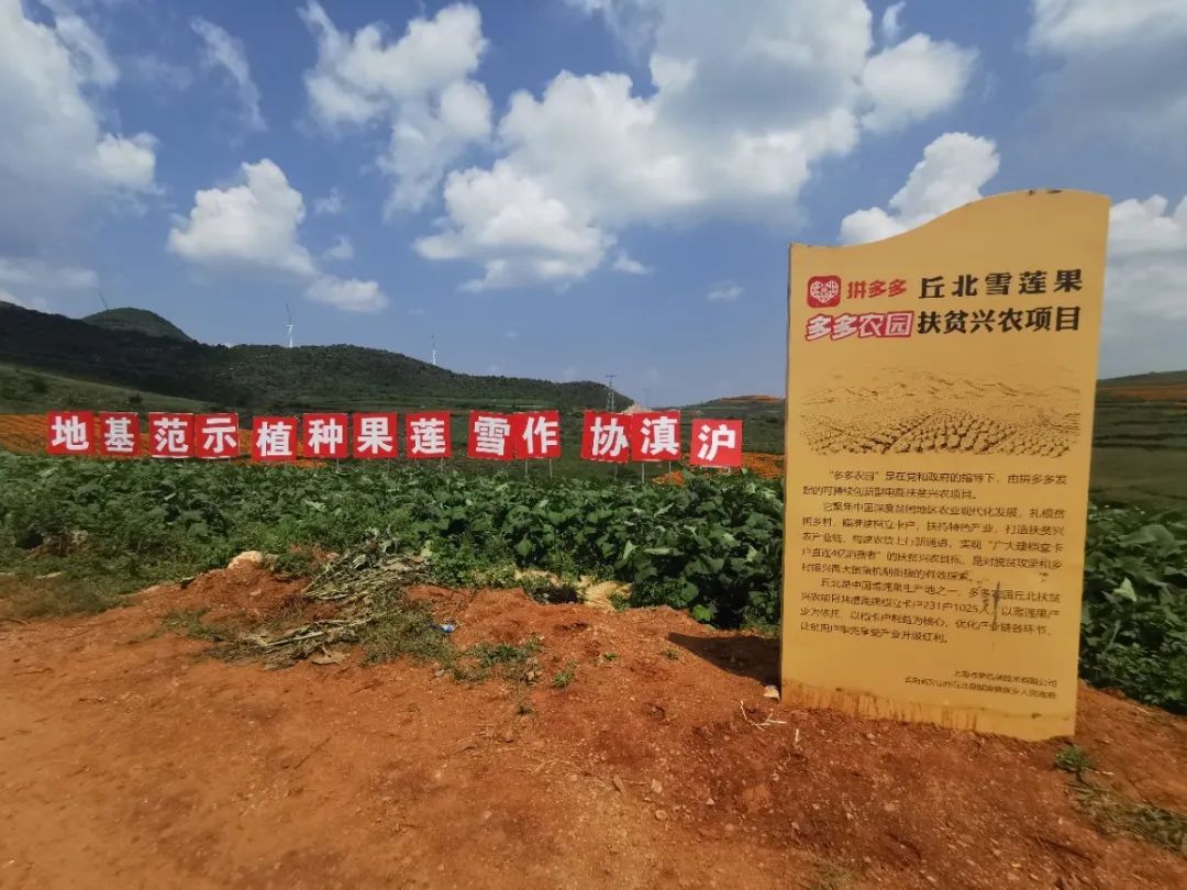 扶贫致富直播,扶贫一线话小康视频