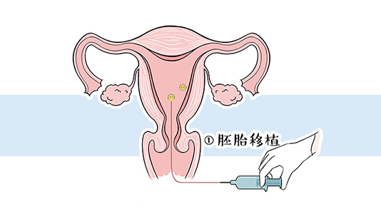 神奇的胎儿发育过程,神奇的胚胎发育过程