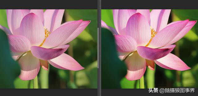 怎样用ps调好照片画质,ps调整对比度快捷键