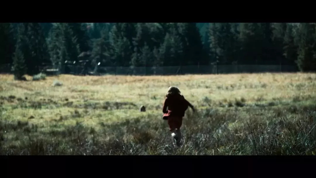 一群犹太小孩逃亡,一群犹太小孩从德国跑到瑞士