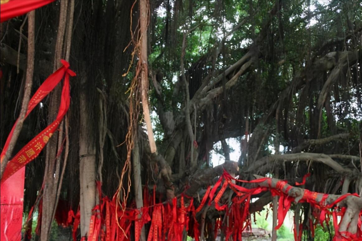 广西桂林阳朔旅游必去景点,桂林阳朔西街情侣旅游